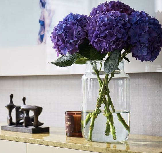 Featured photo from Evflorist Corp