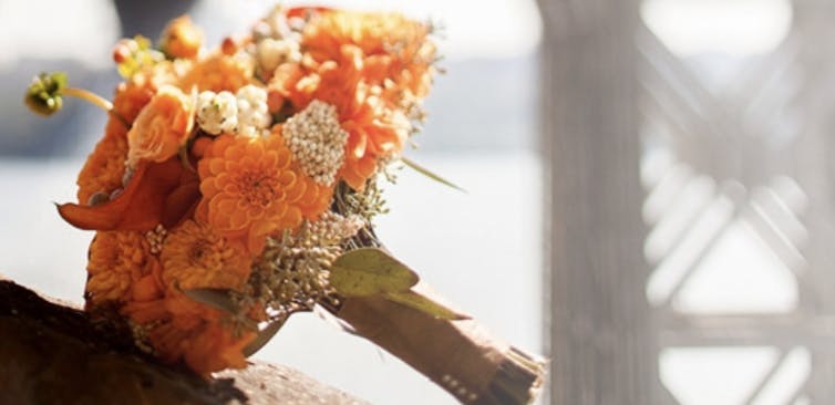 Featured photo from Sylvan Grace Florist