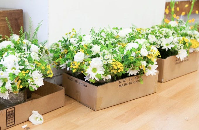 Featured photo from The Secret Garden