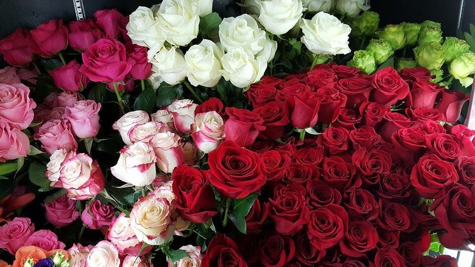 Daffodils Chicago Design & Floral All Photo Albums PartySlate