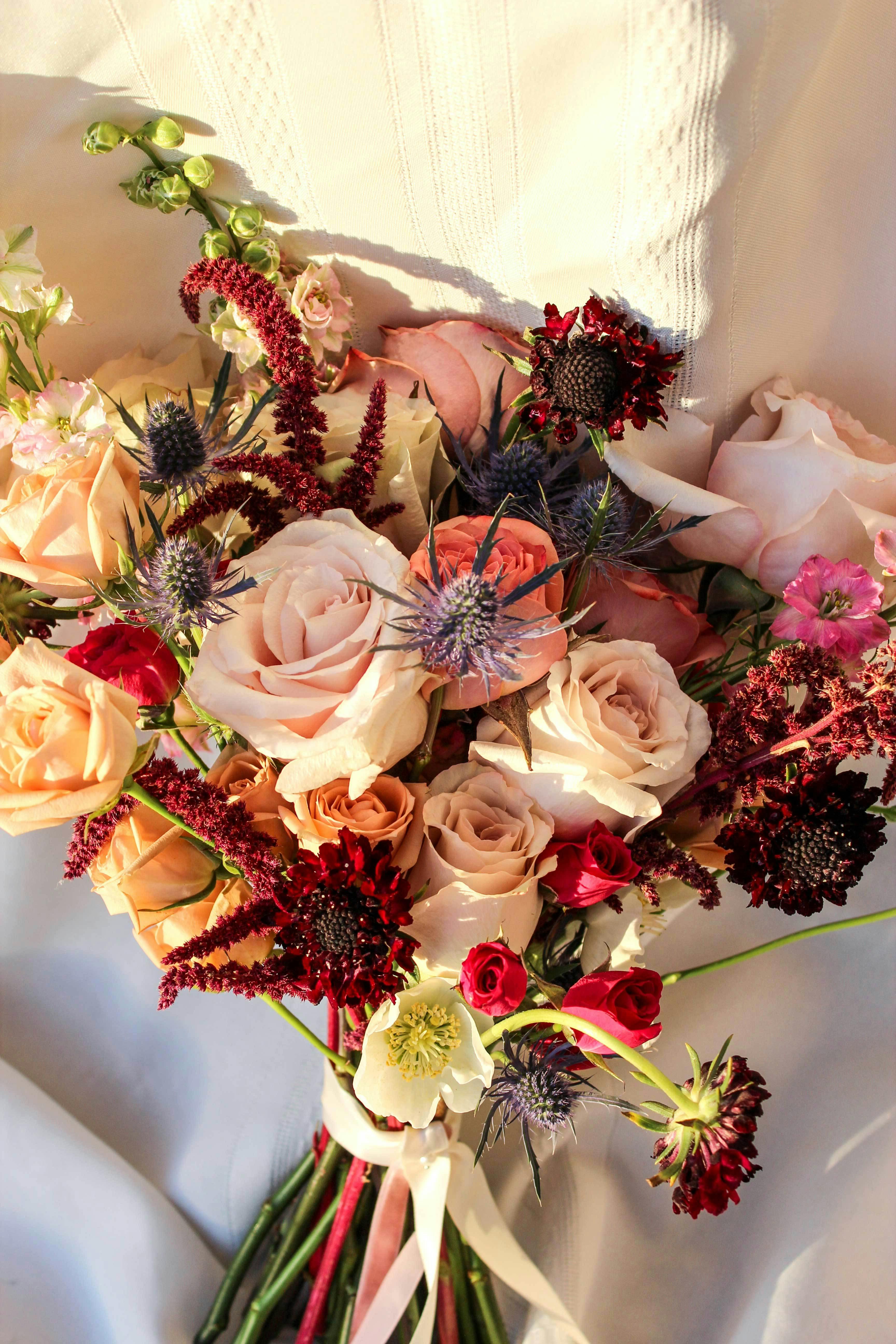 Cover photo of Lucky Wild Free