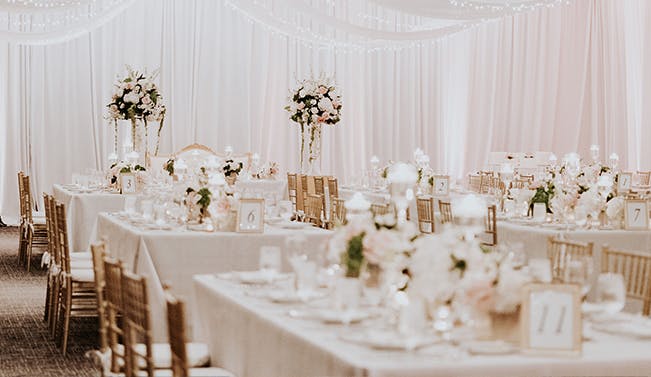 Featured photo from The Dalmar