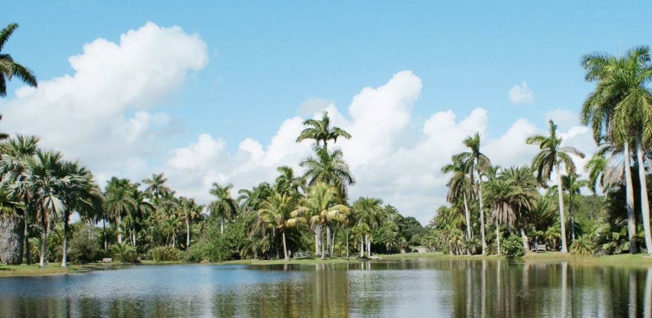 Featured photo from Fairchild Tropical Botanic Garden