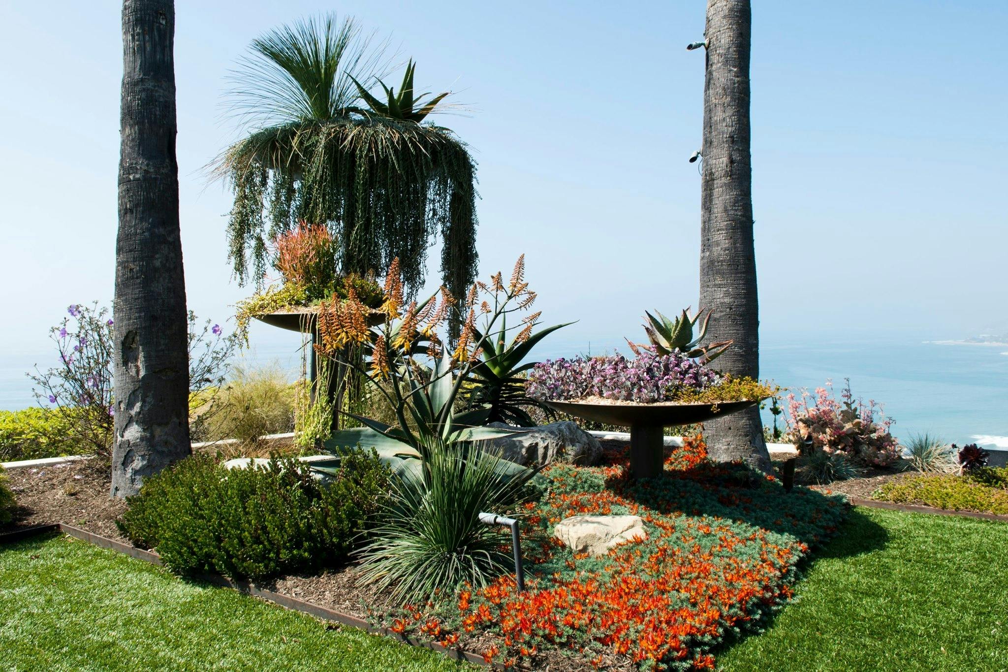 Featured photo from Big Red Sun