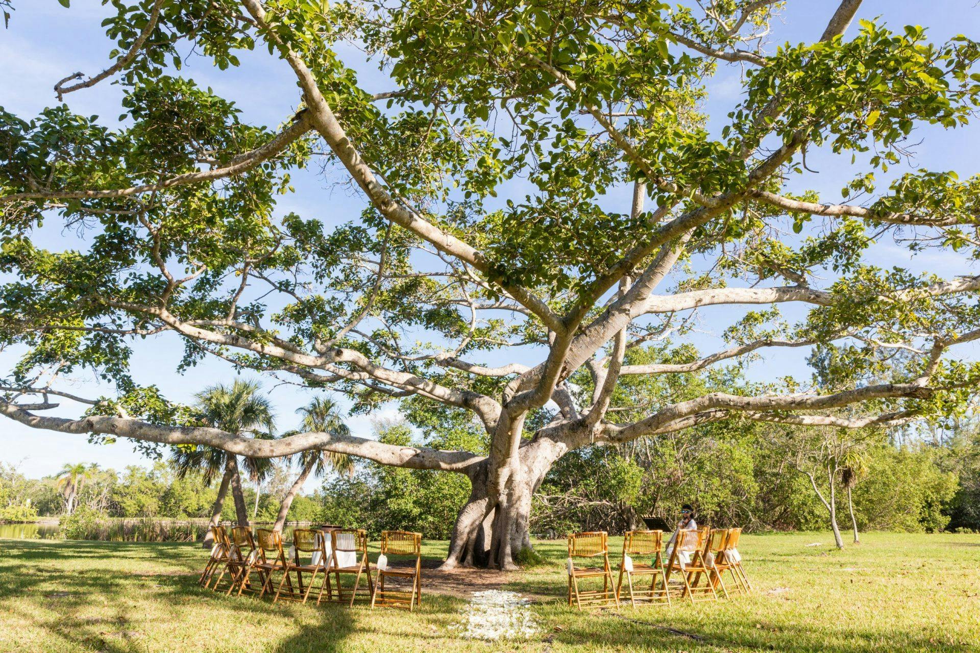 Featured photo from Matheson Hammock Park