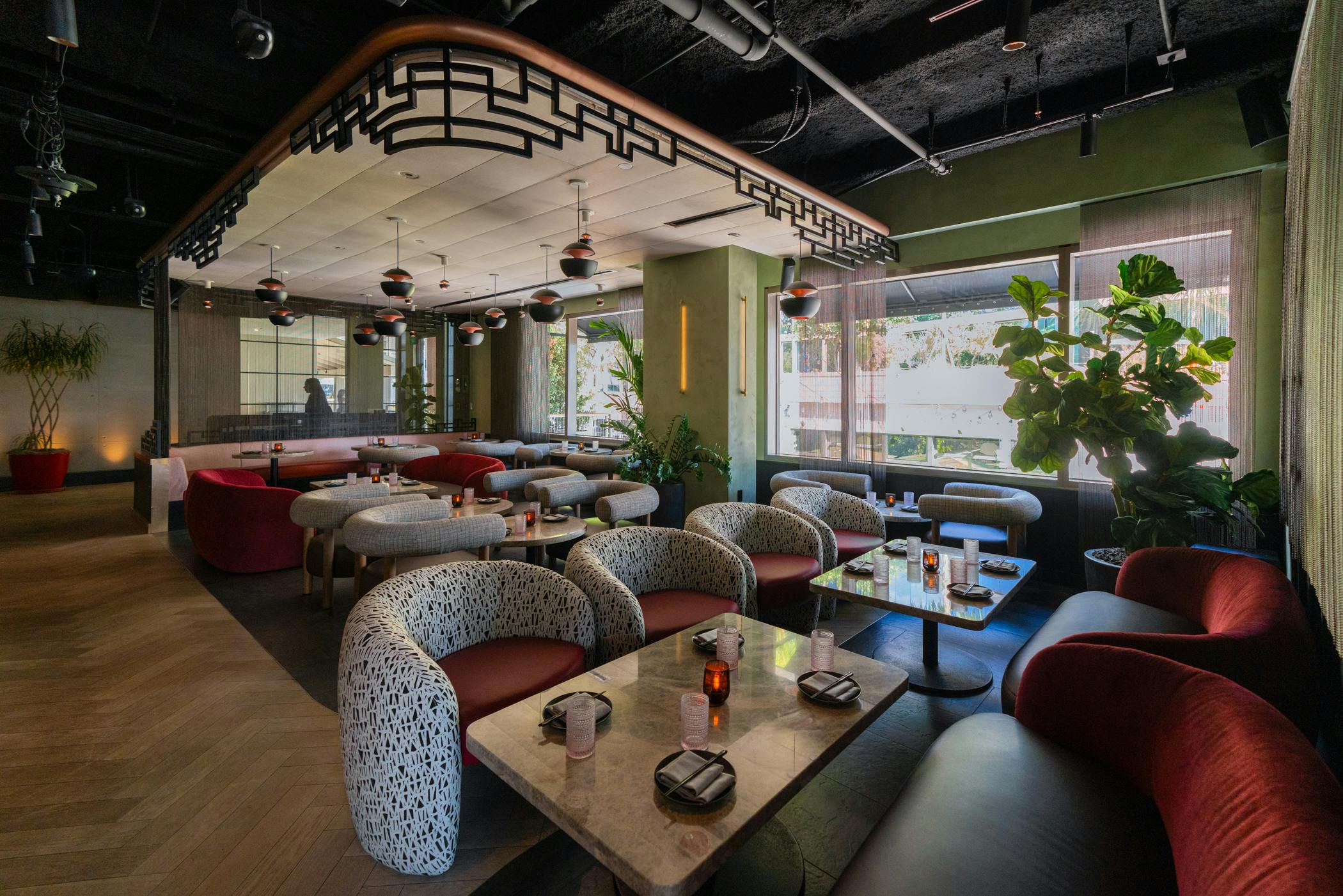 Featured photo from Planta Queen