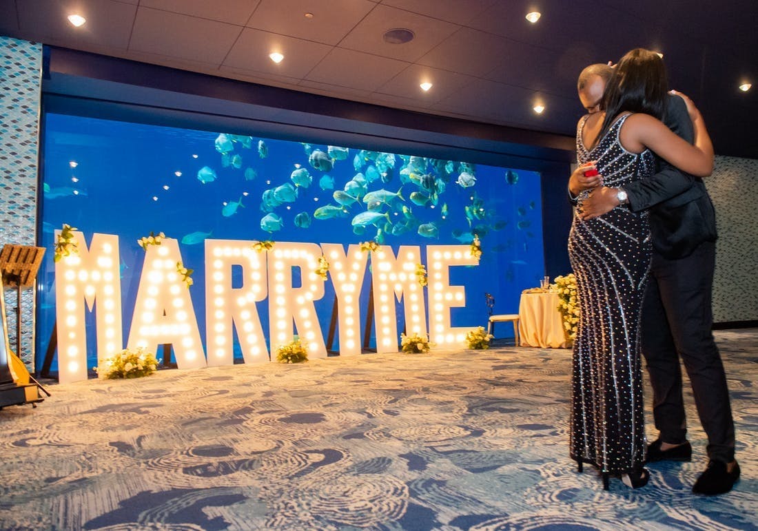 Aquarium Atlanta Venue All Events 66 photos on PartySlate