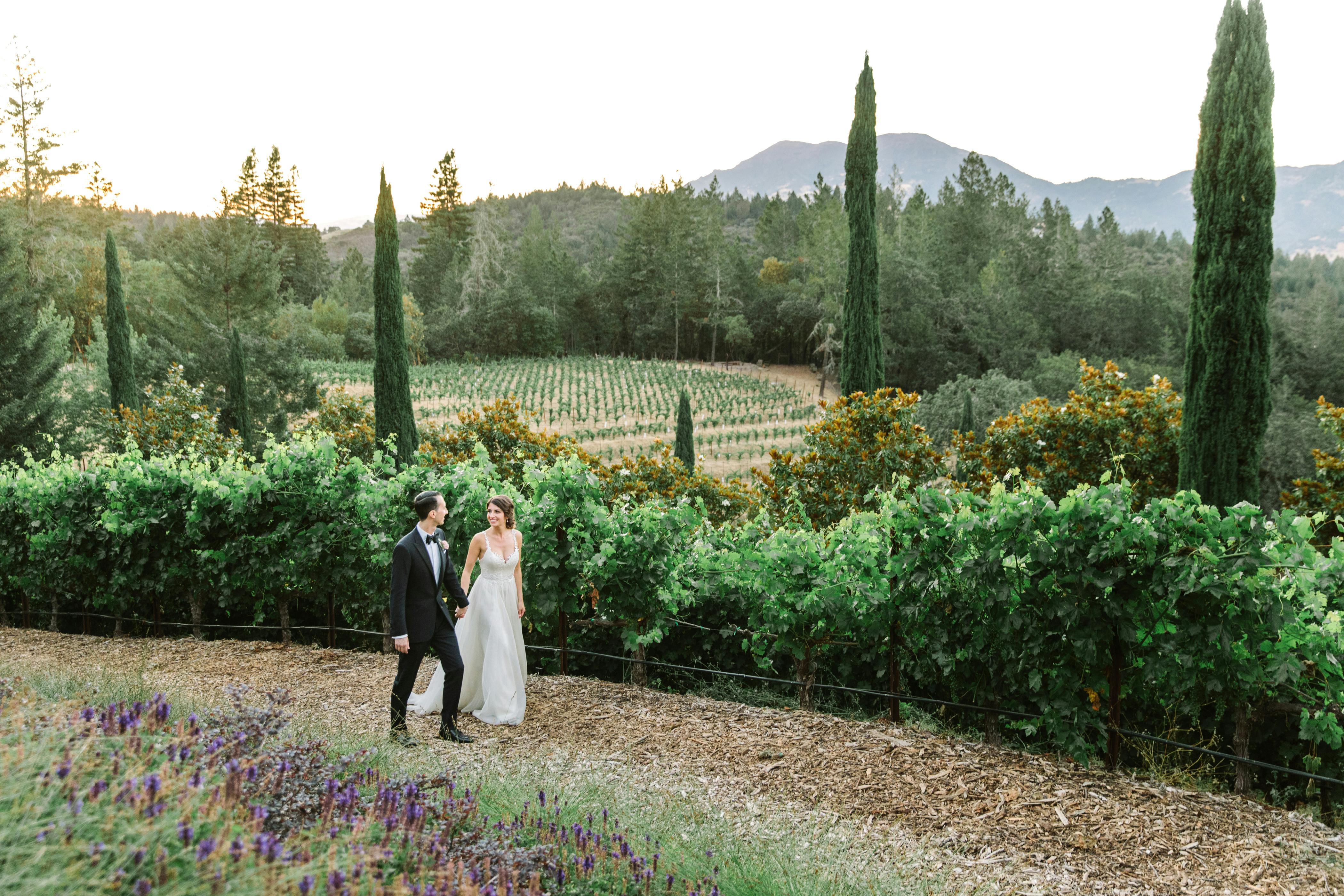 Featured photo from Vineyard Estate