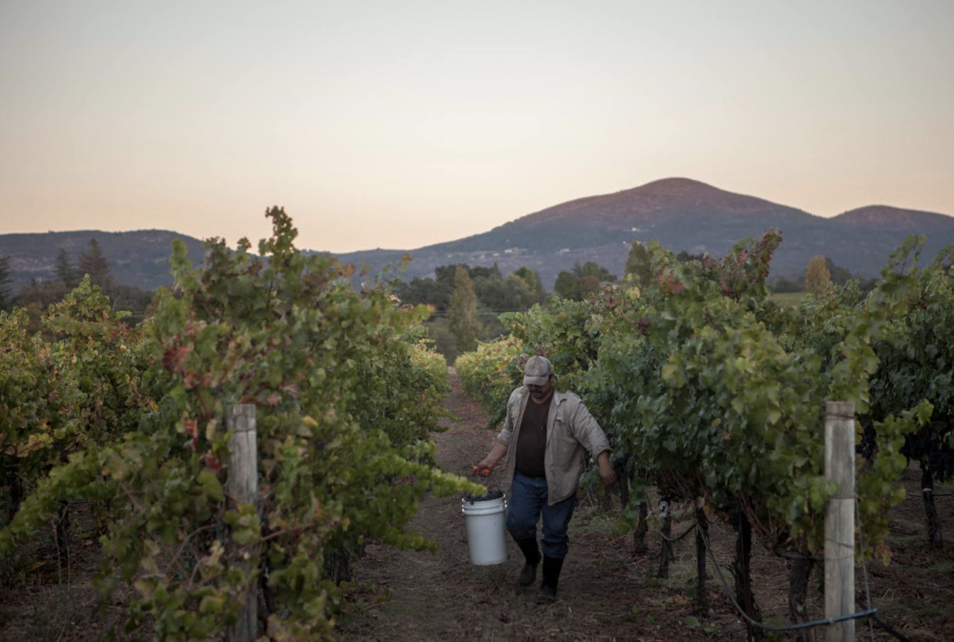 Featured photo from Luna Vineyards