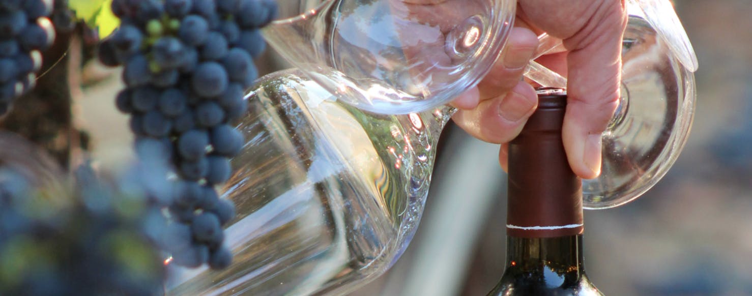 Featured photo from Palmaz Vineyards