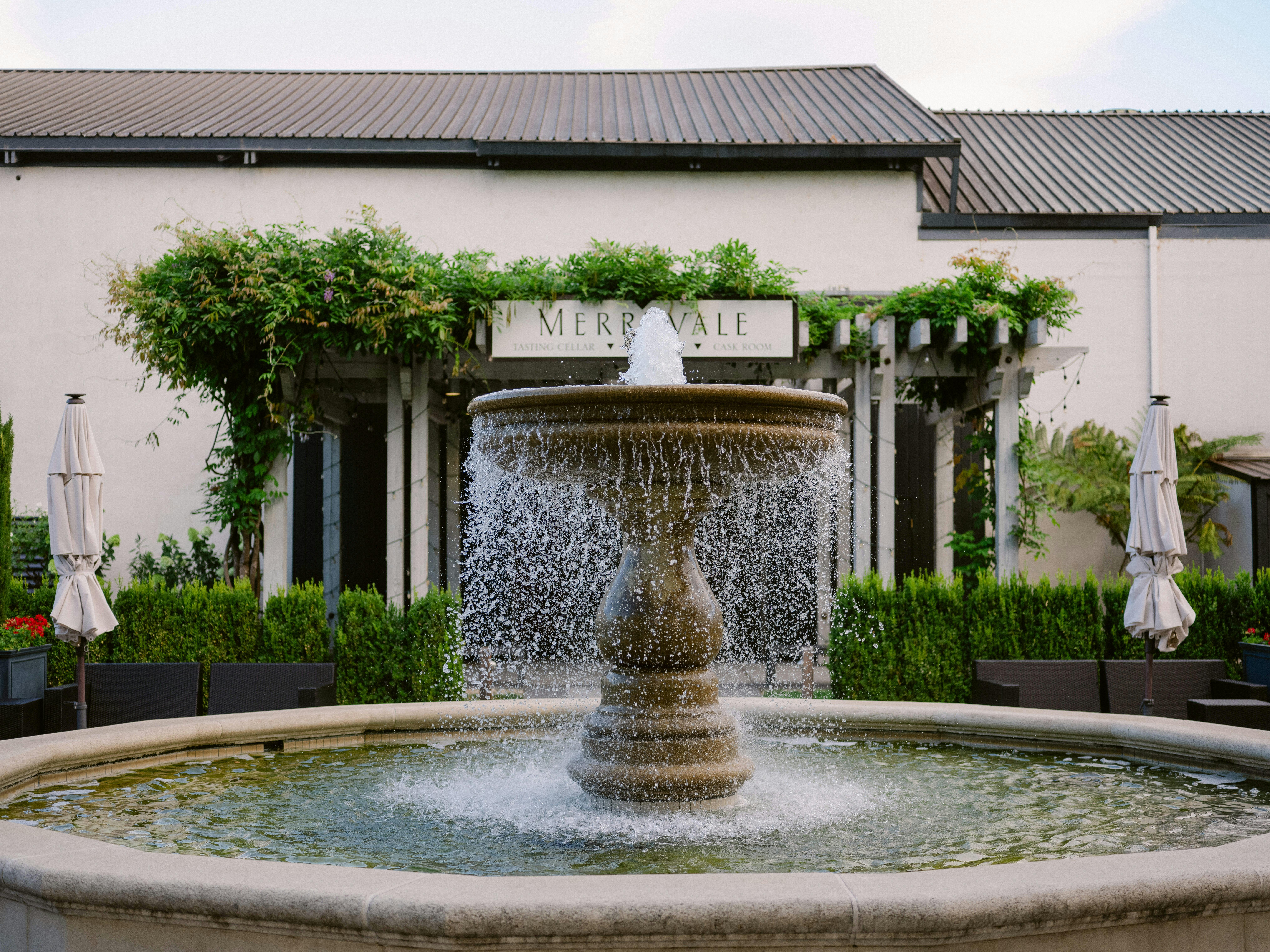 Featured photo from Merryvale Vineyards