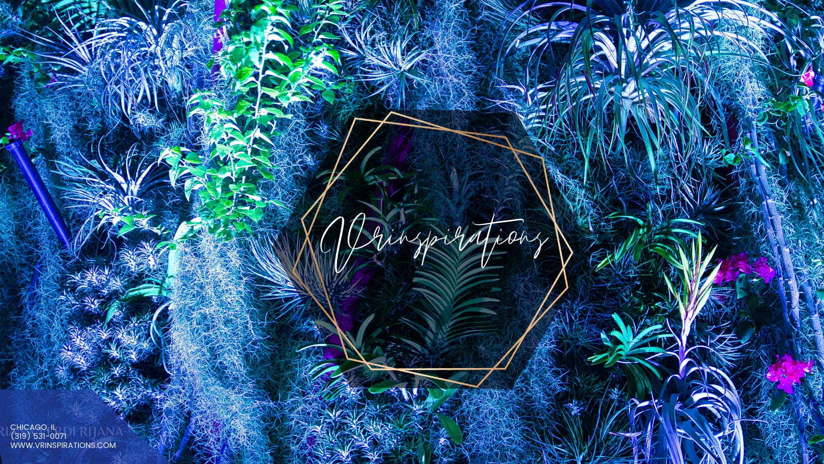 Featured photo from Vrinspirations