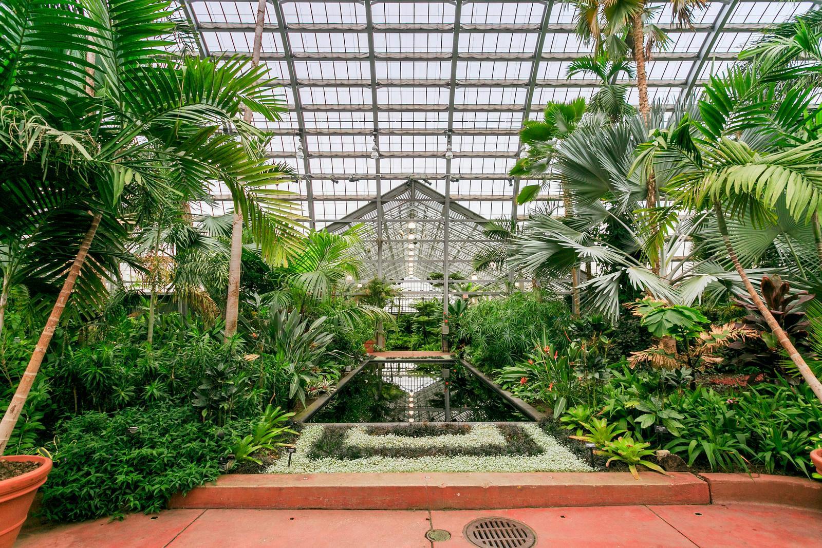 Featured photo from Garfield Park Conservatory