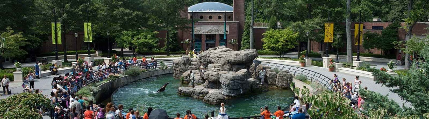 Featured photo from Prospect Park Zoo