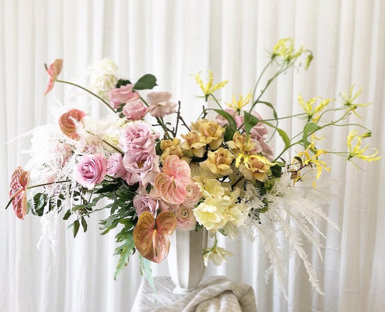 Featured photo from Eucharis