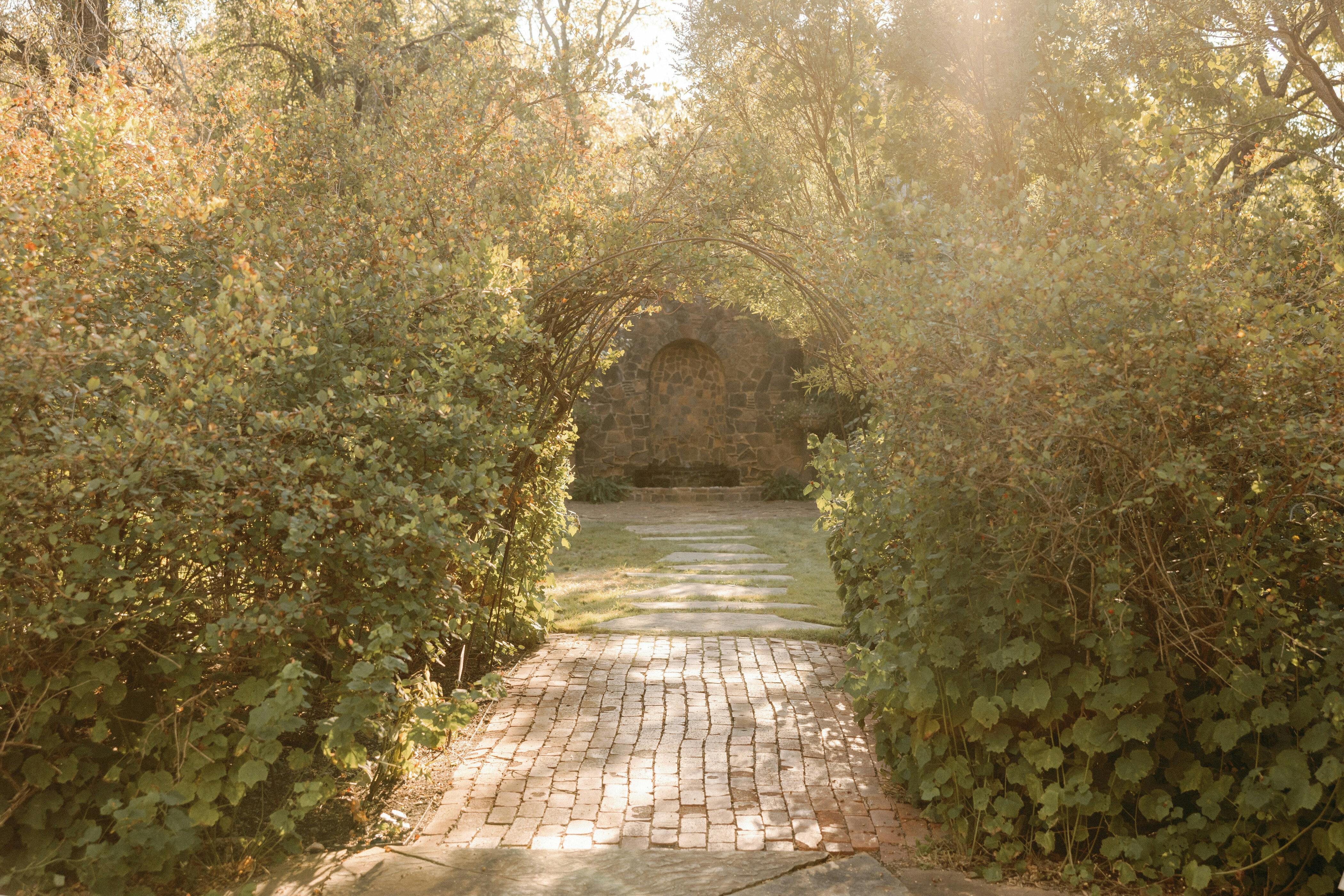 Featured photo from Weston Gardens In Bloom