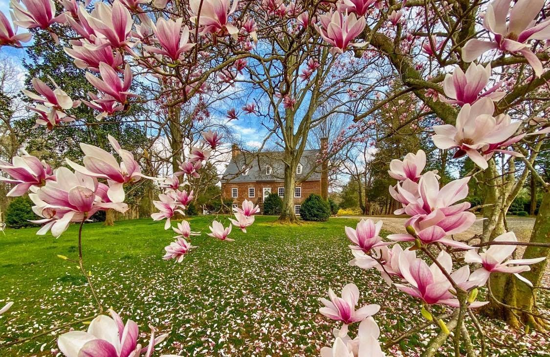 Featured photo from Bel Air 1740