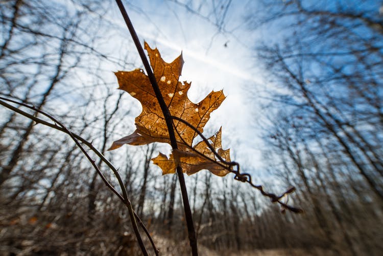 Featured photo from Hta Photo