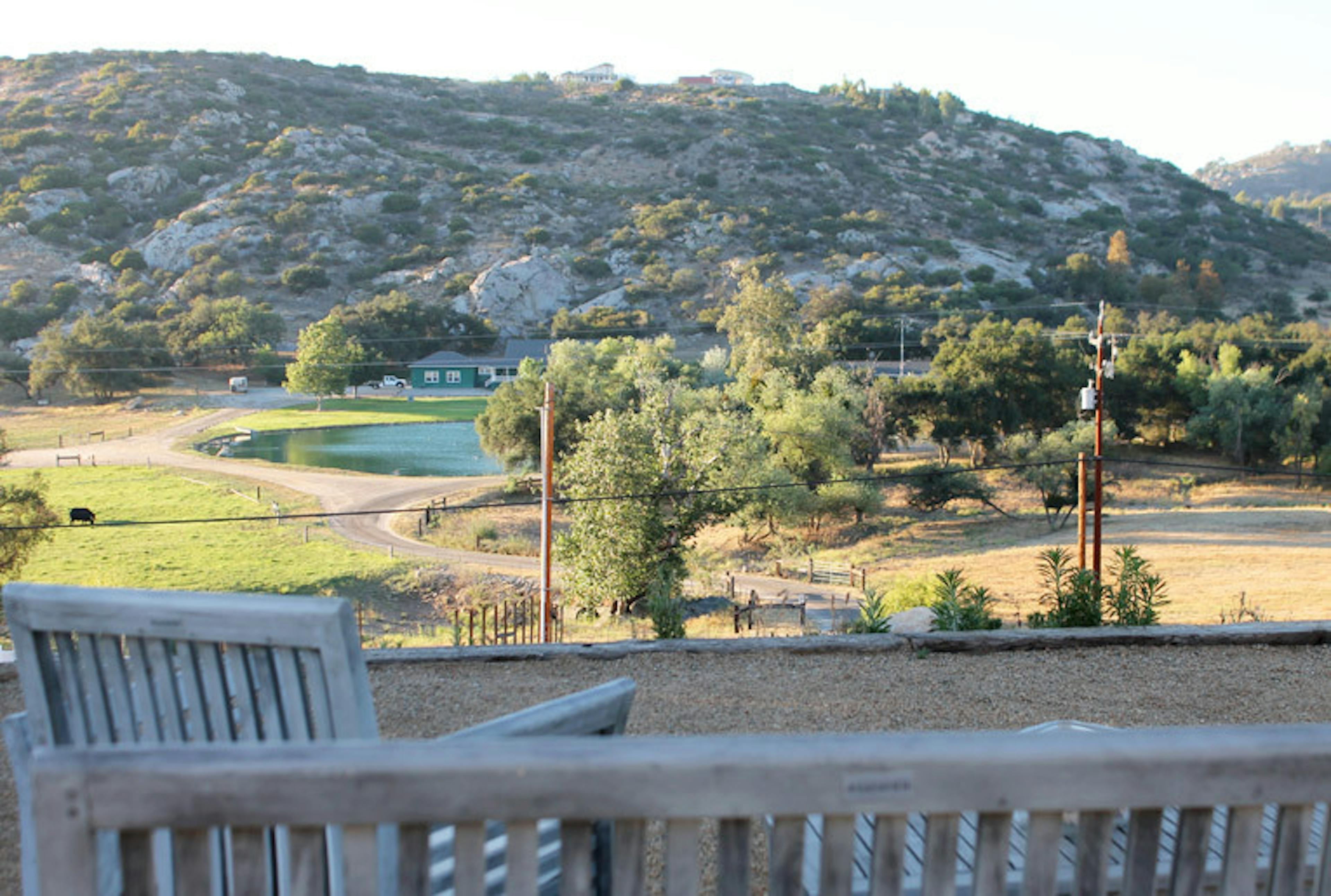 Cover photo of Crystal Hill Vineyard