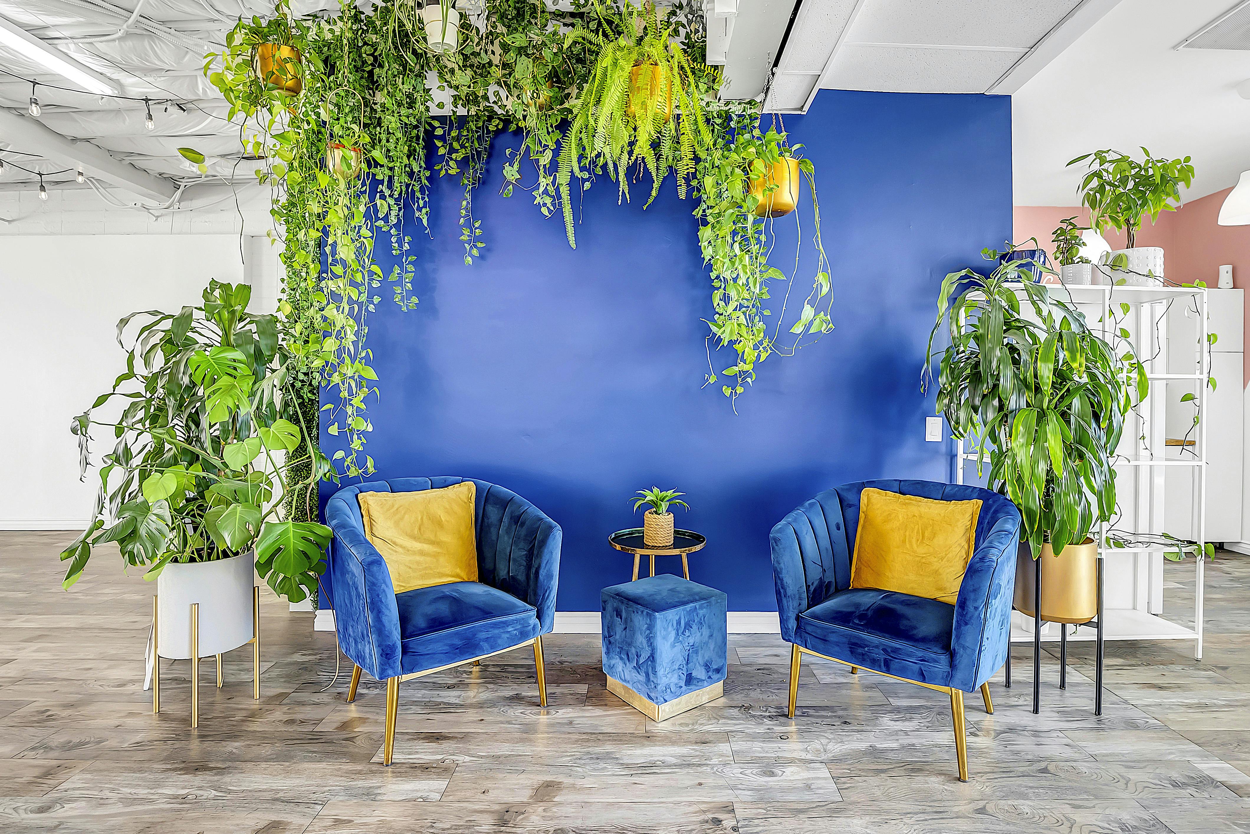 Featured photo from FEMX Quarters