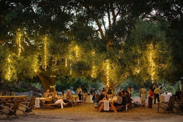 Featured photo from Terra Madre Gardens
