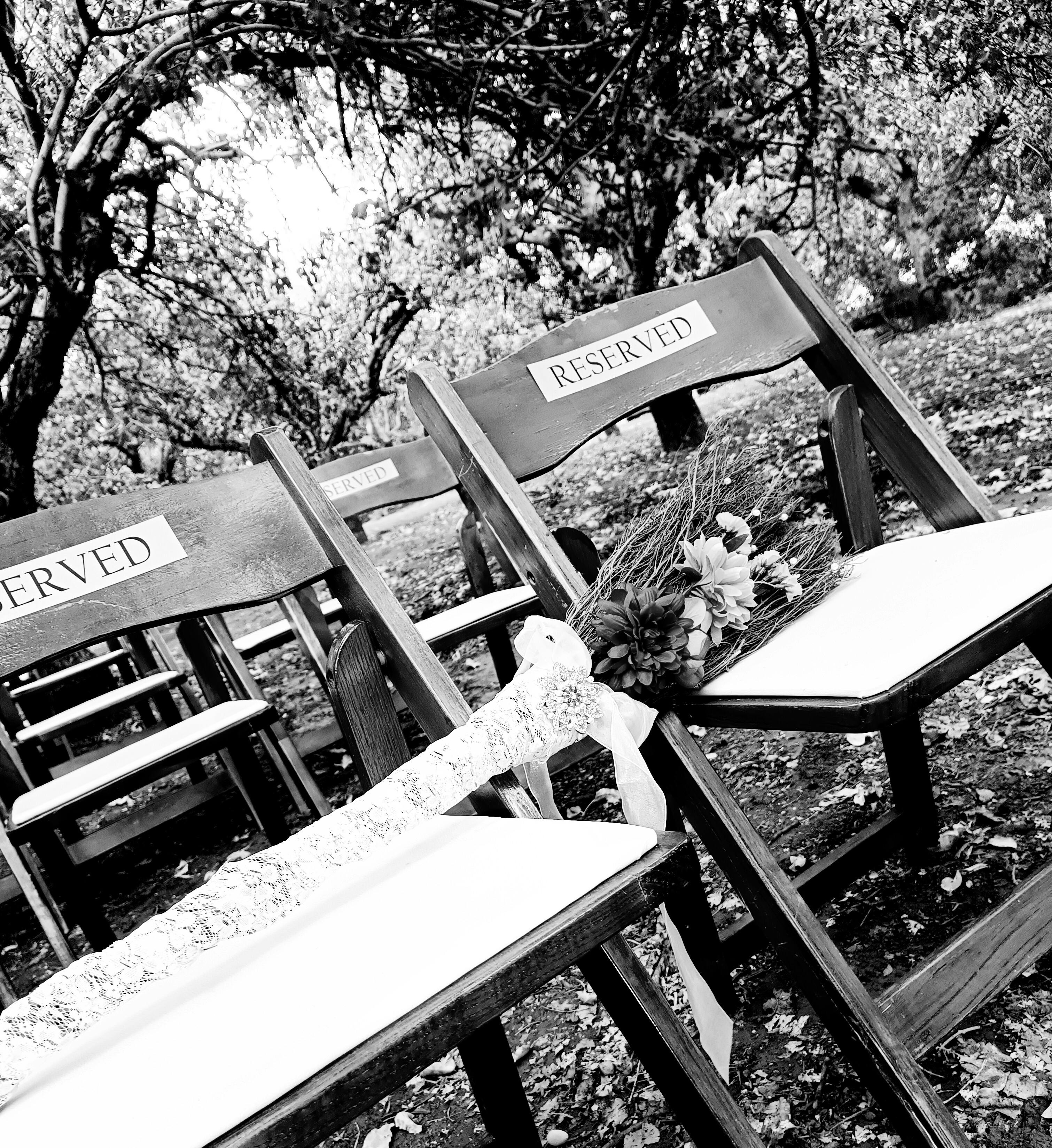 Featured photo from Weddings & Events By Trina
