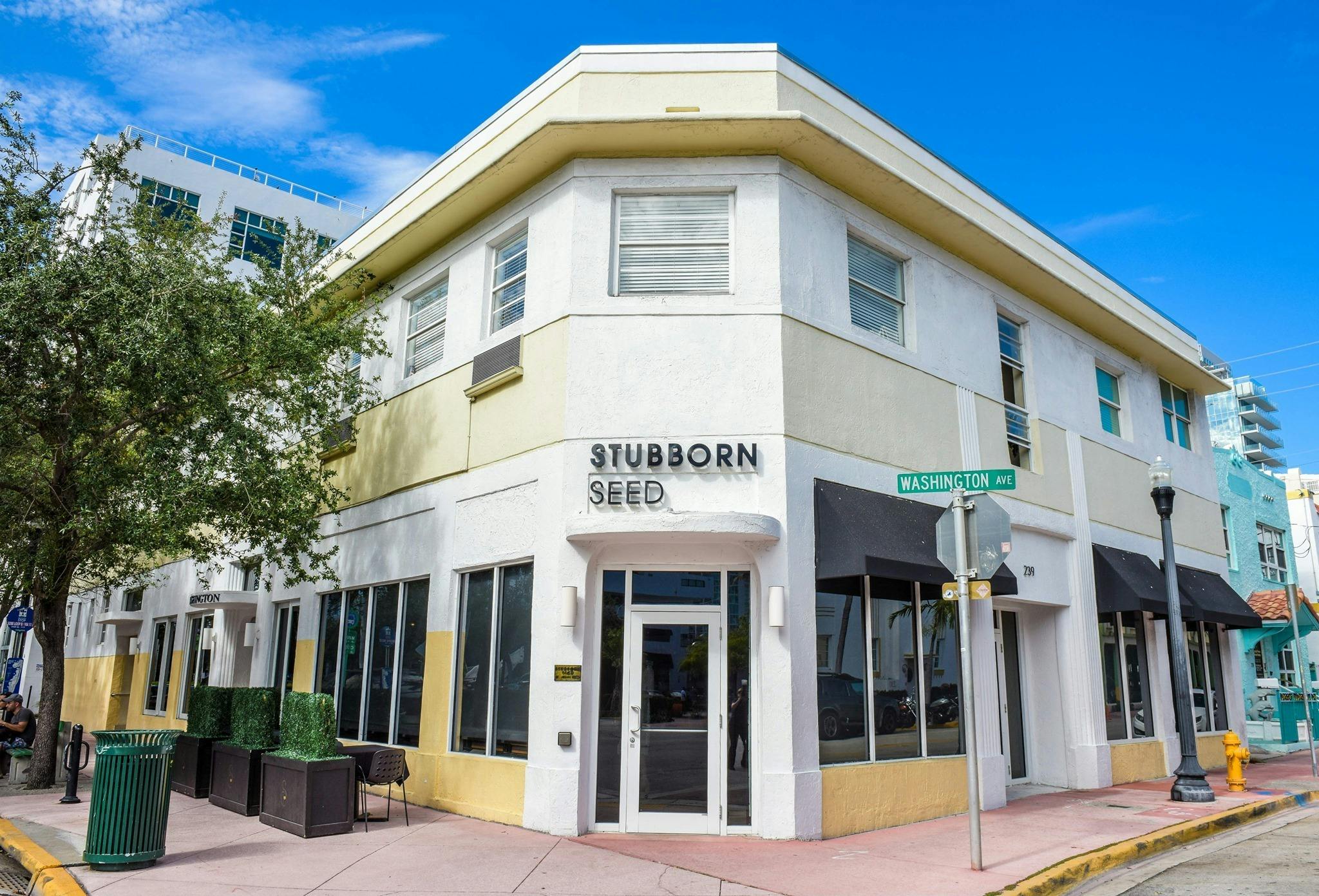 Featured photo from Stubborn Seed