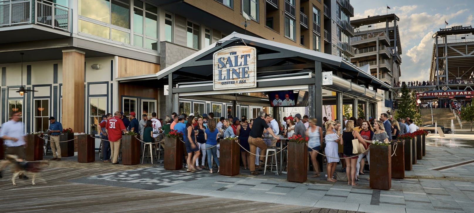Featured photo from The Salt Line