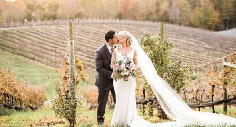 Featured photo from Potomac Point Winery & Vineyard