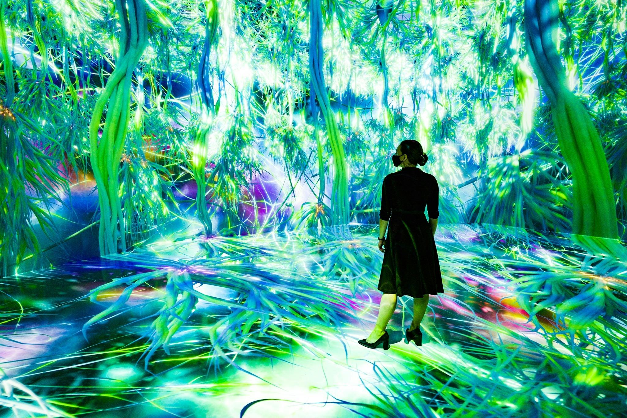 Featured photo from ARTECHOUSE