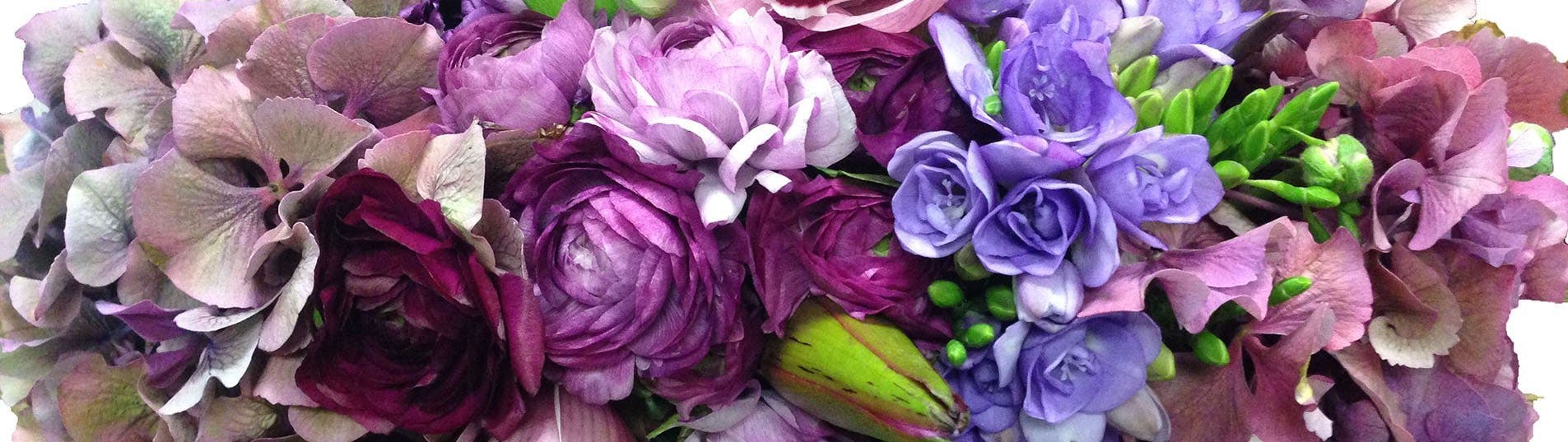 Cover photo of Beverly Hills Flower Gallery