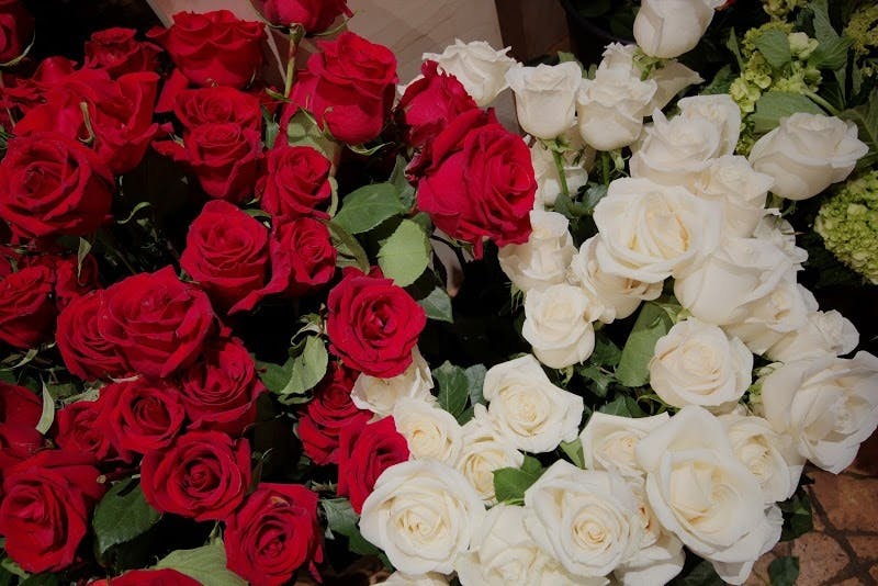 Featured photo from Allan Woods Flowers