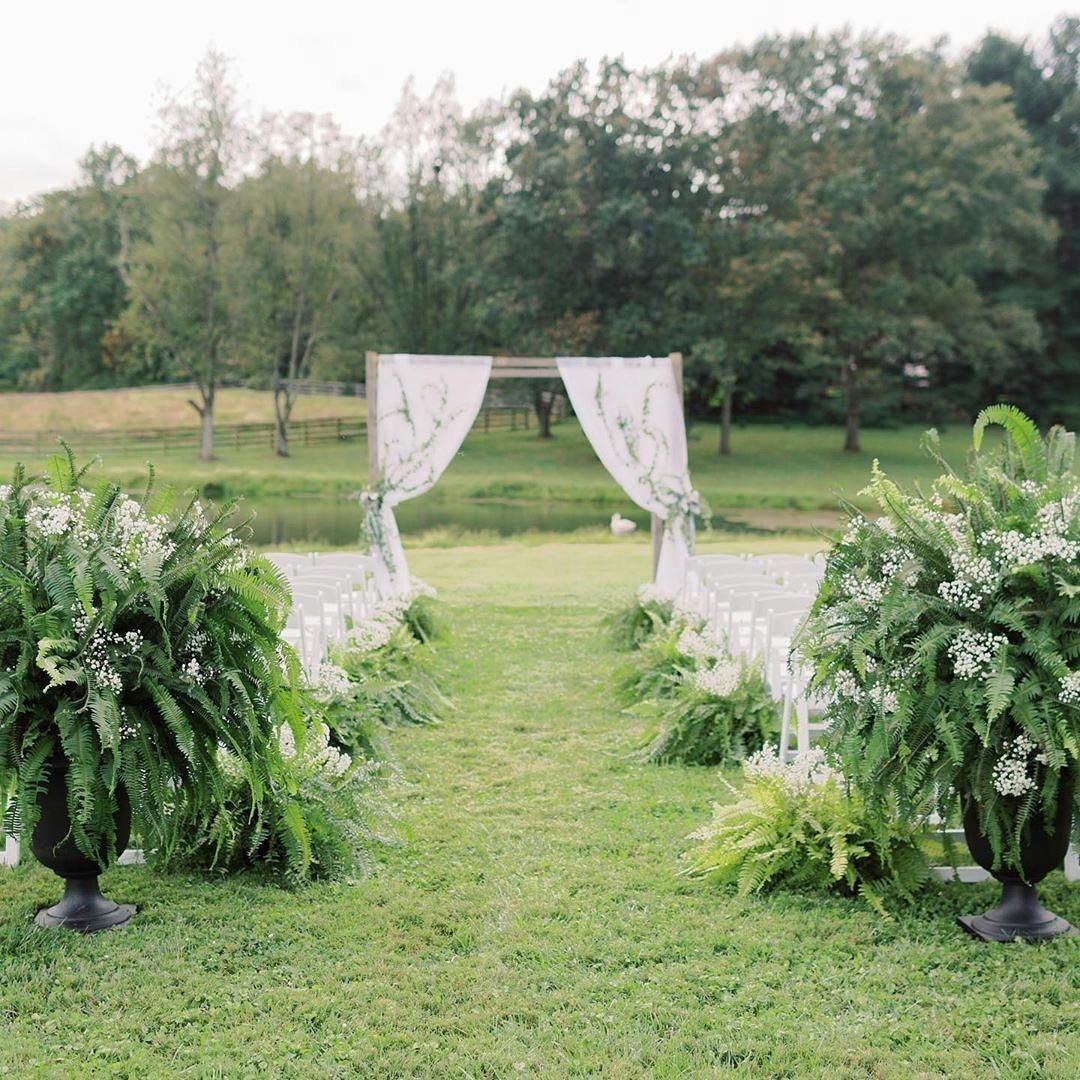 Featured photo from Bee's Wing Farm