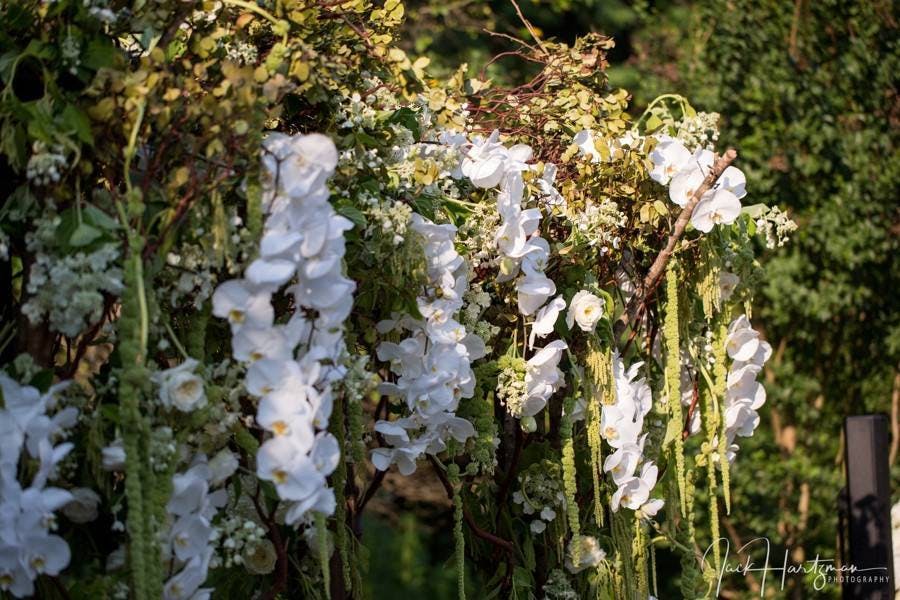 Featured photo from Garden Vivien