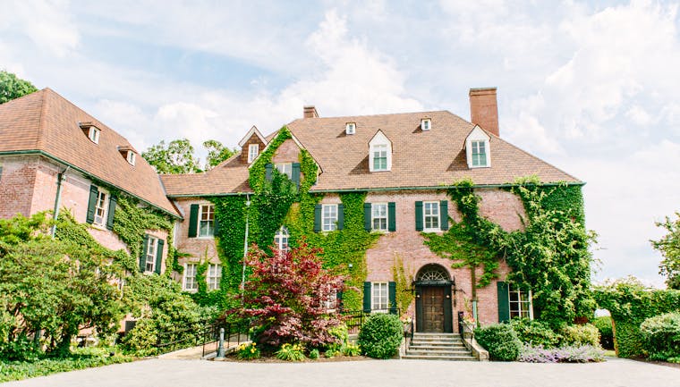 Featured photo from Misselwood