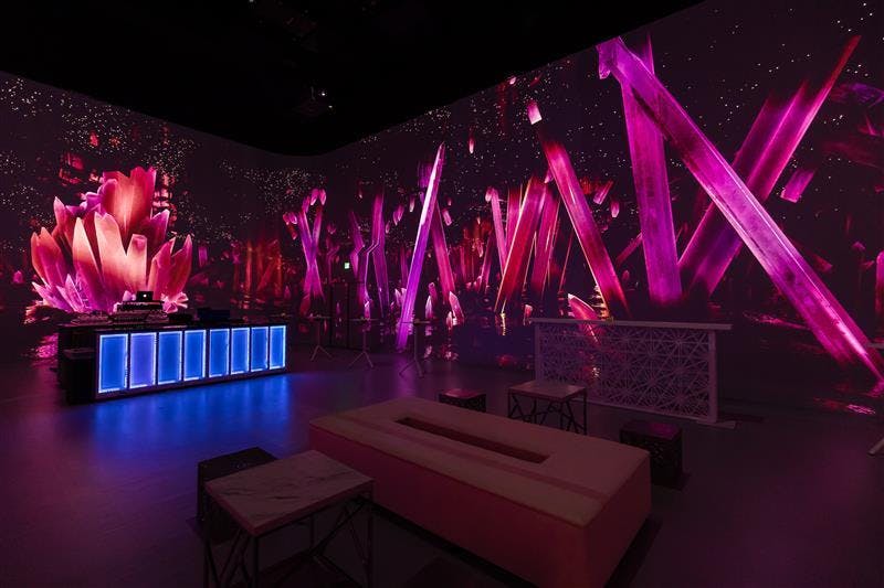 Featured photo from Illuminarium Las Vegas