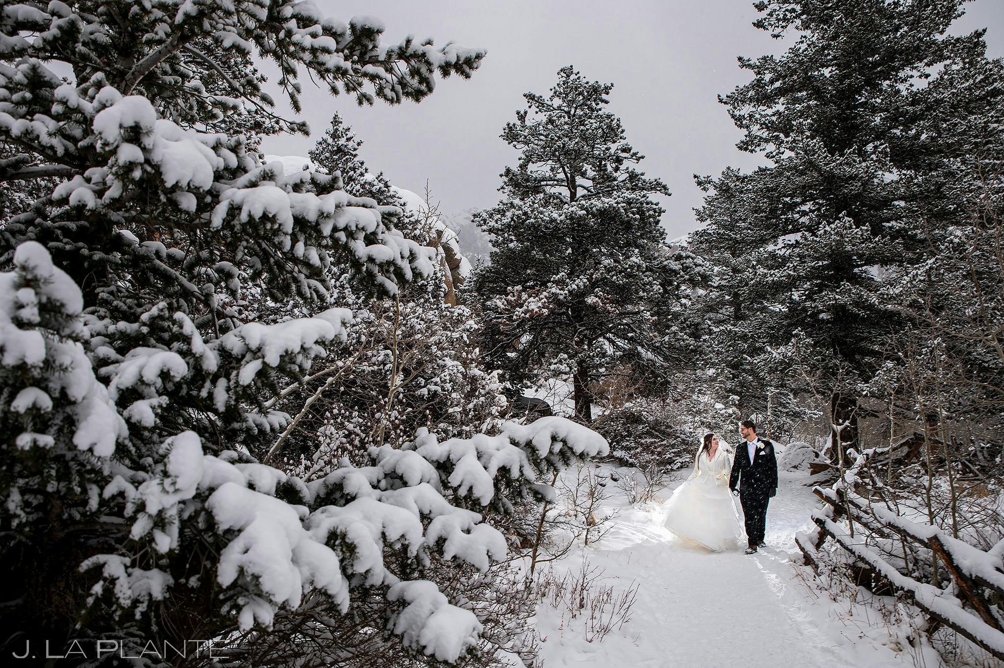 Featured photo from J. La Plante Photo