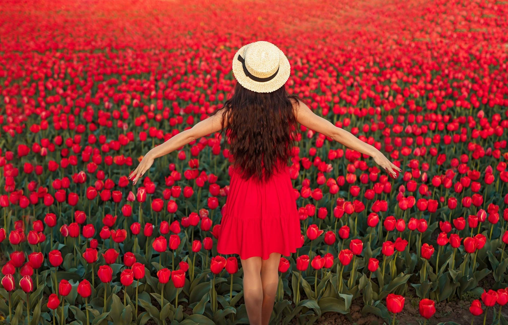 Featured photo from Kuipers Family Farm