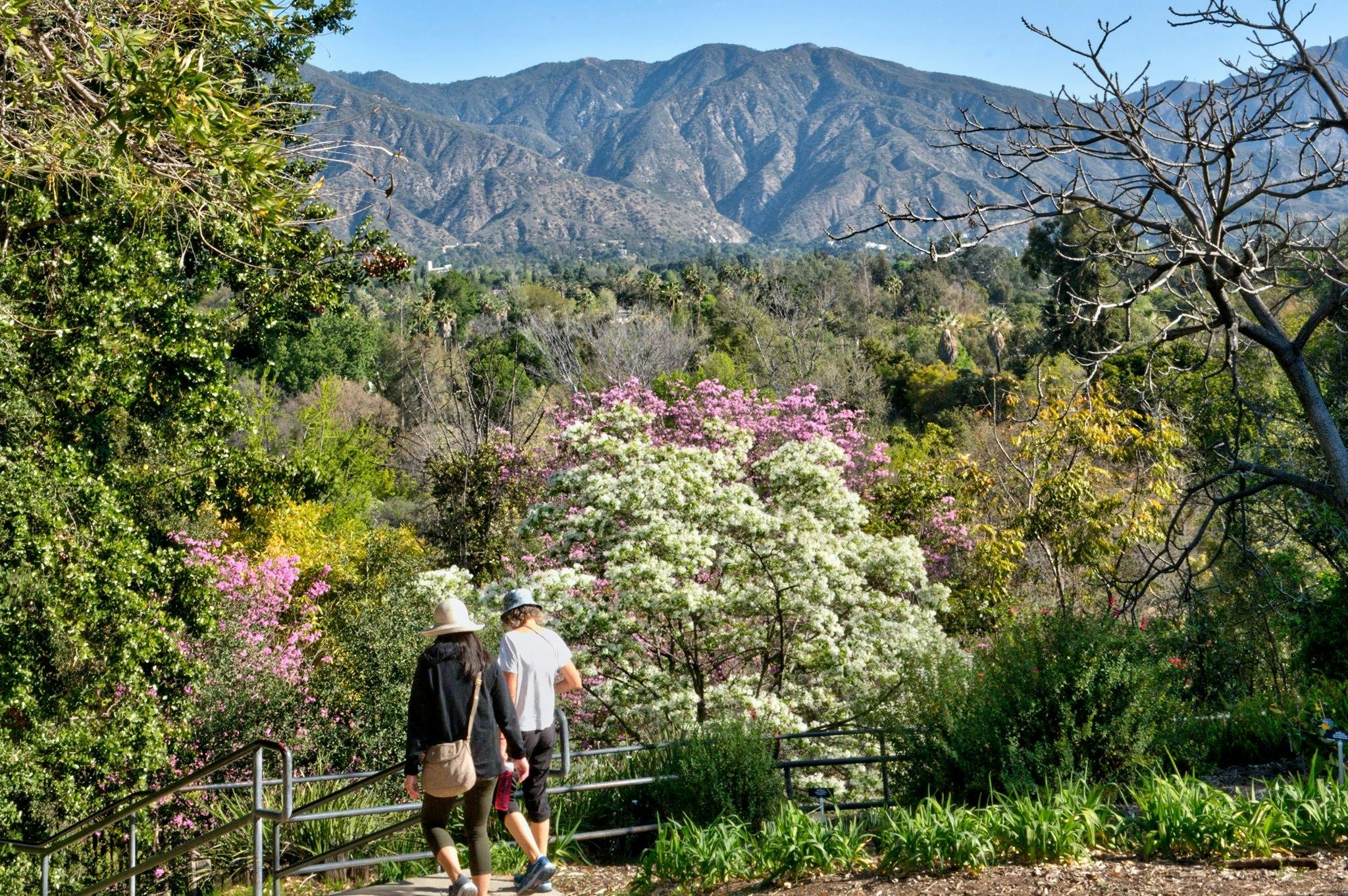 Featured photo from Los Angeles County Arboretum and Botanic Garden