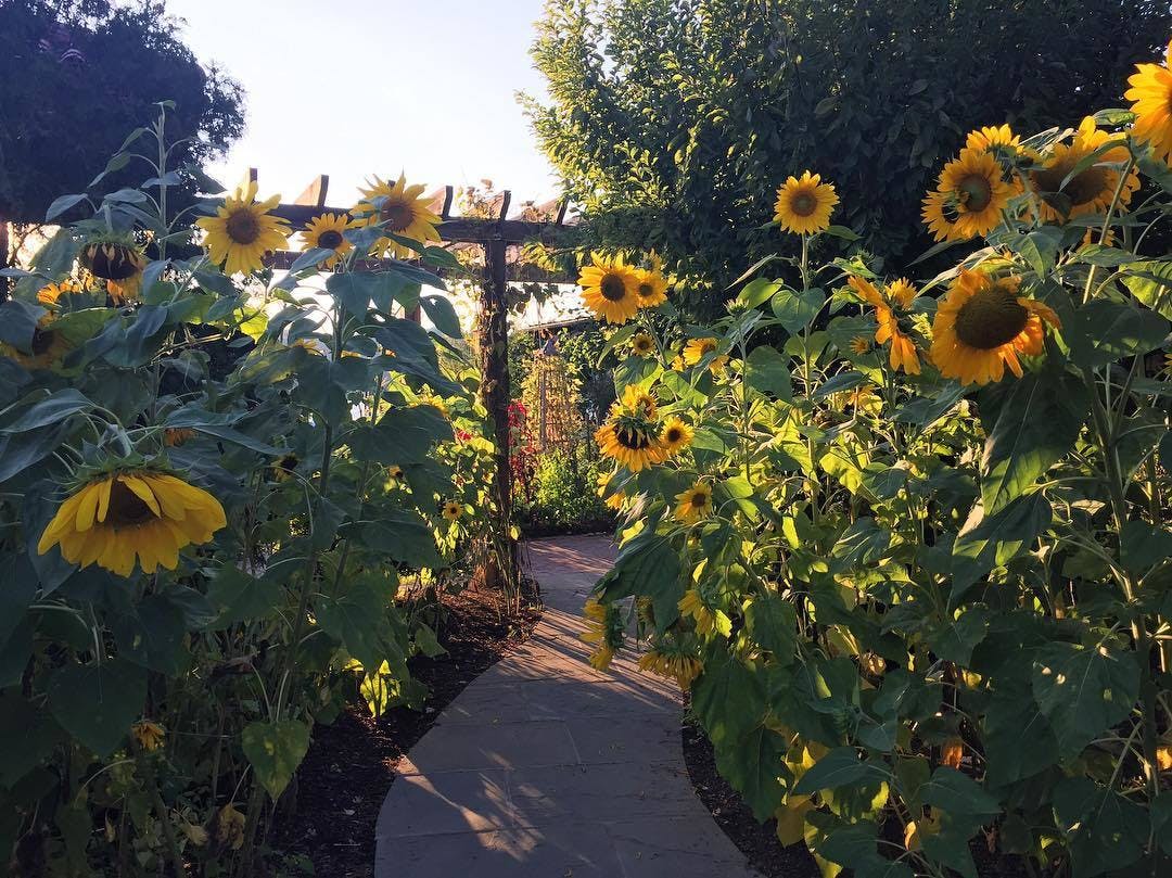 Featured photo from Harvest On Hudson