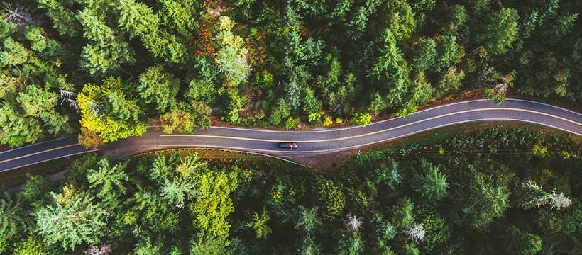 Featured photo from The Robert Treat Hotel