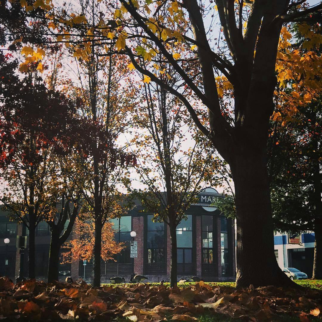 Featured photo from Art Marble 21