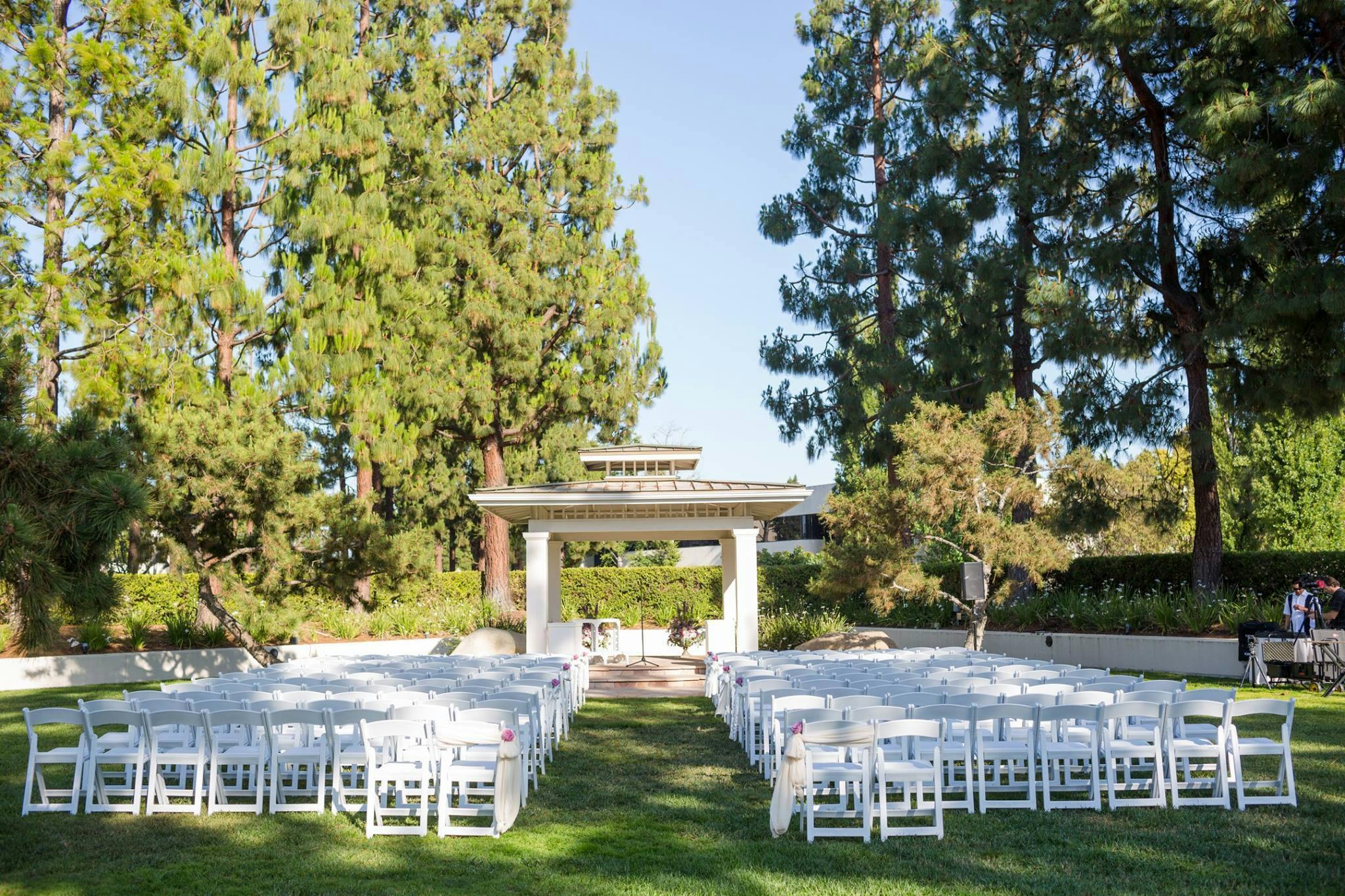 Featured photo from Turnip Rose Promenade Gardens