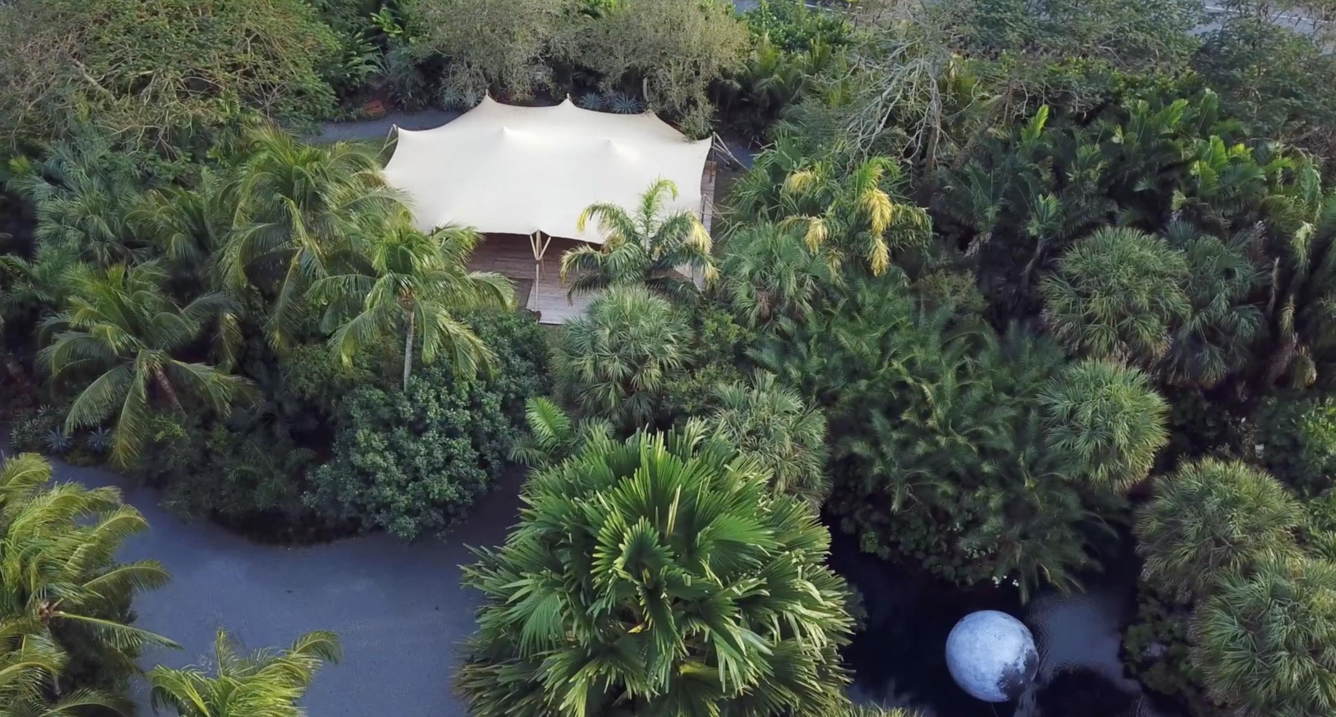 Cover photo of The Movement Oasis