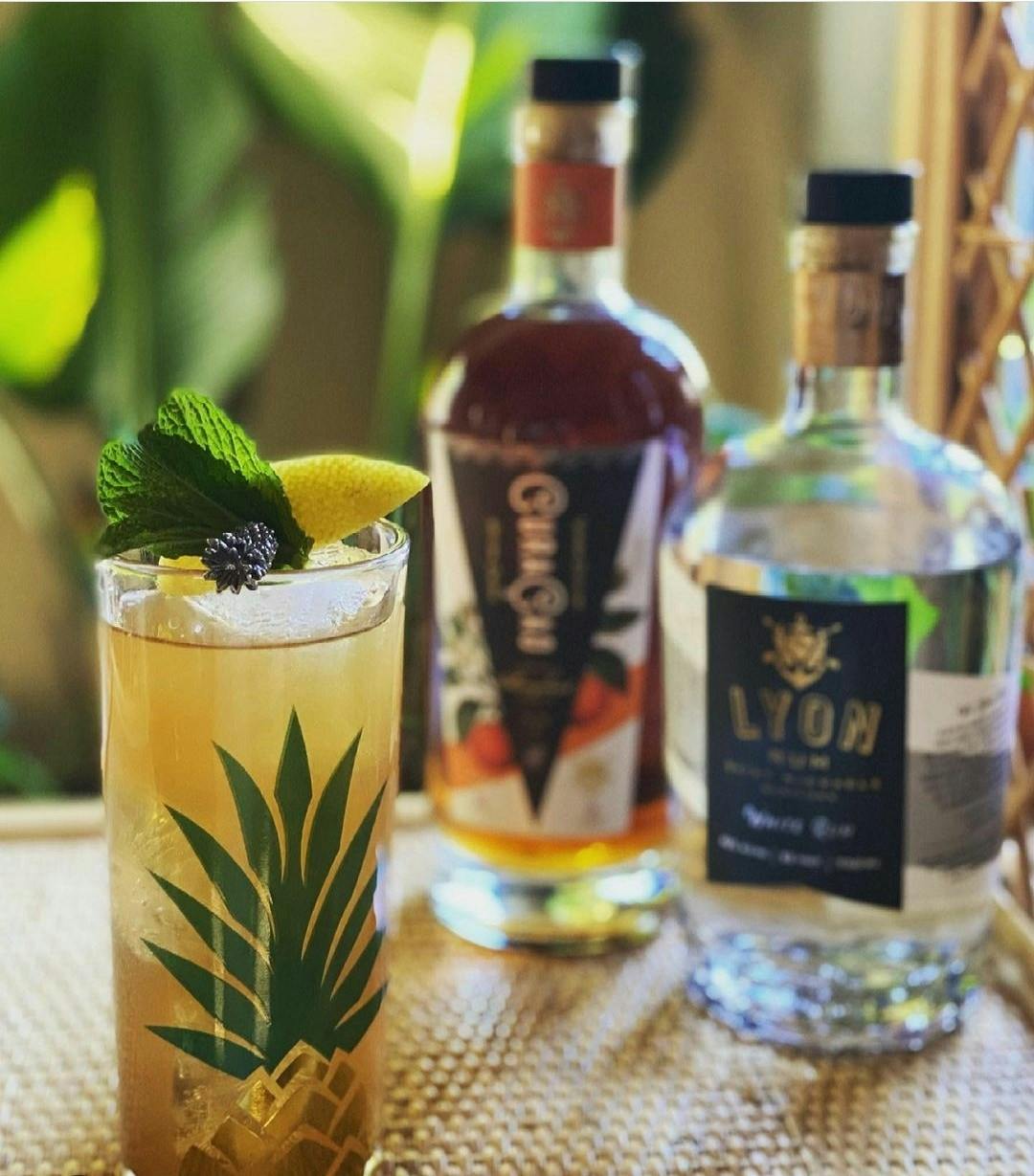 Featured photo from Ace Beverage
