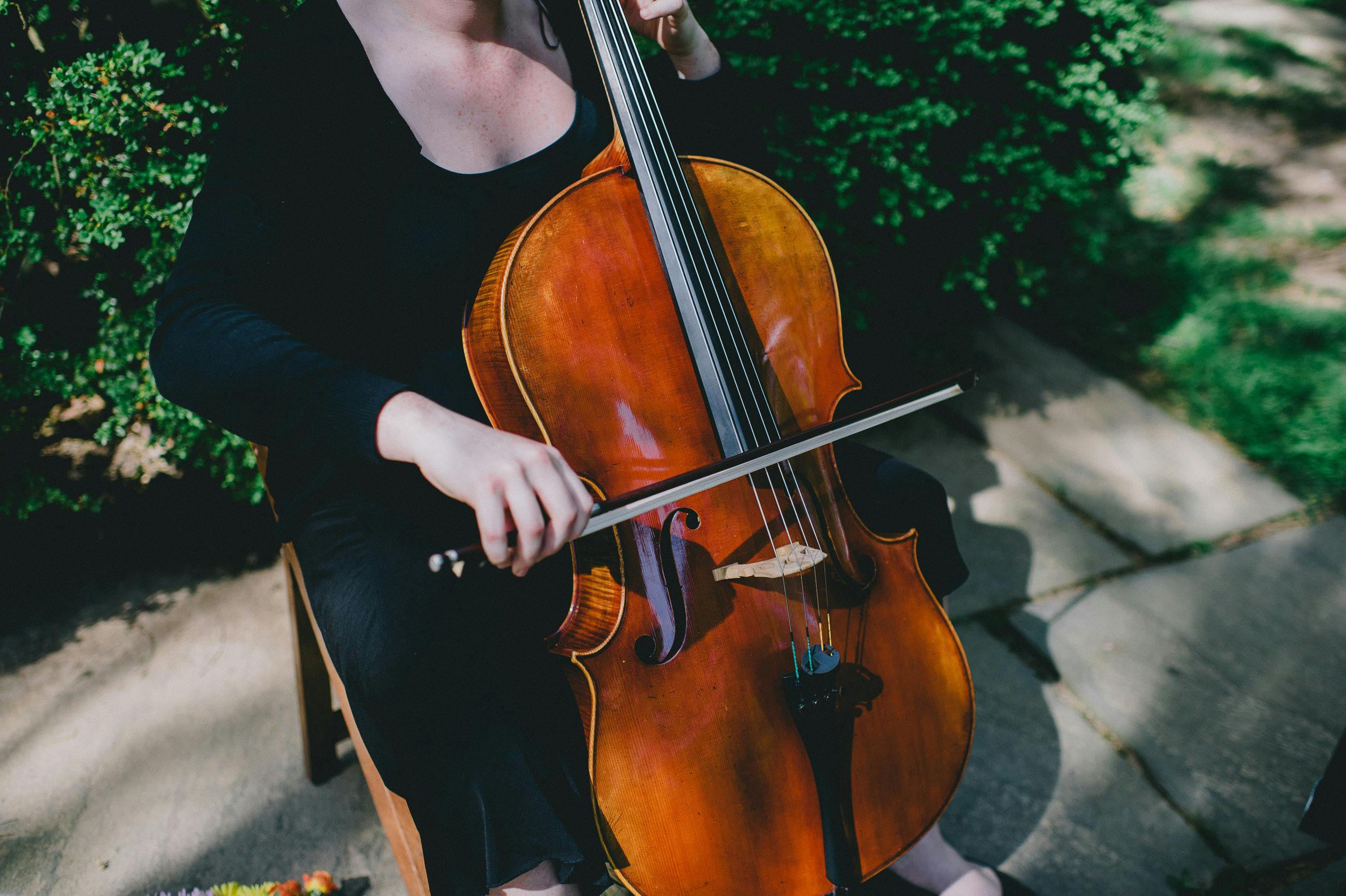 Featured photo from District Strings