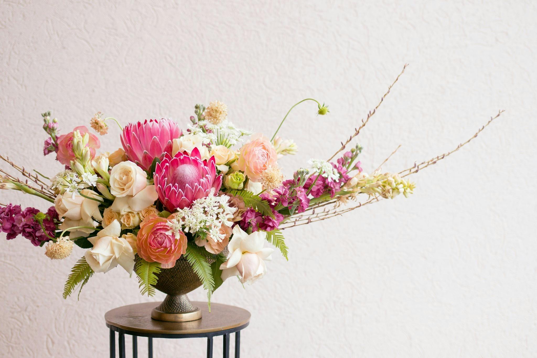 Featured photo from Dv Flora