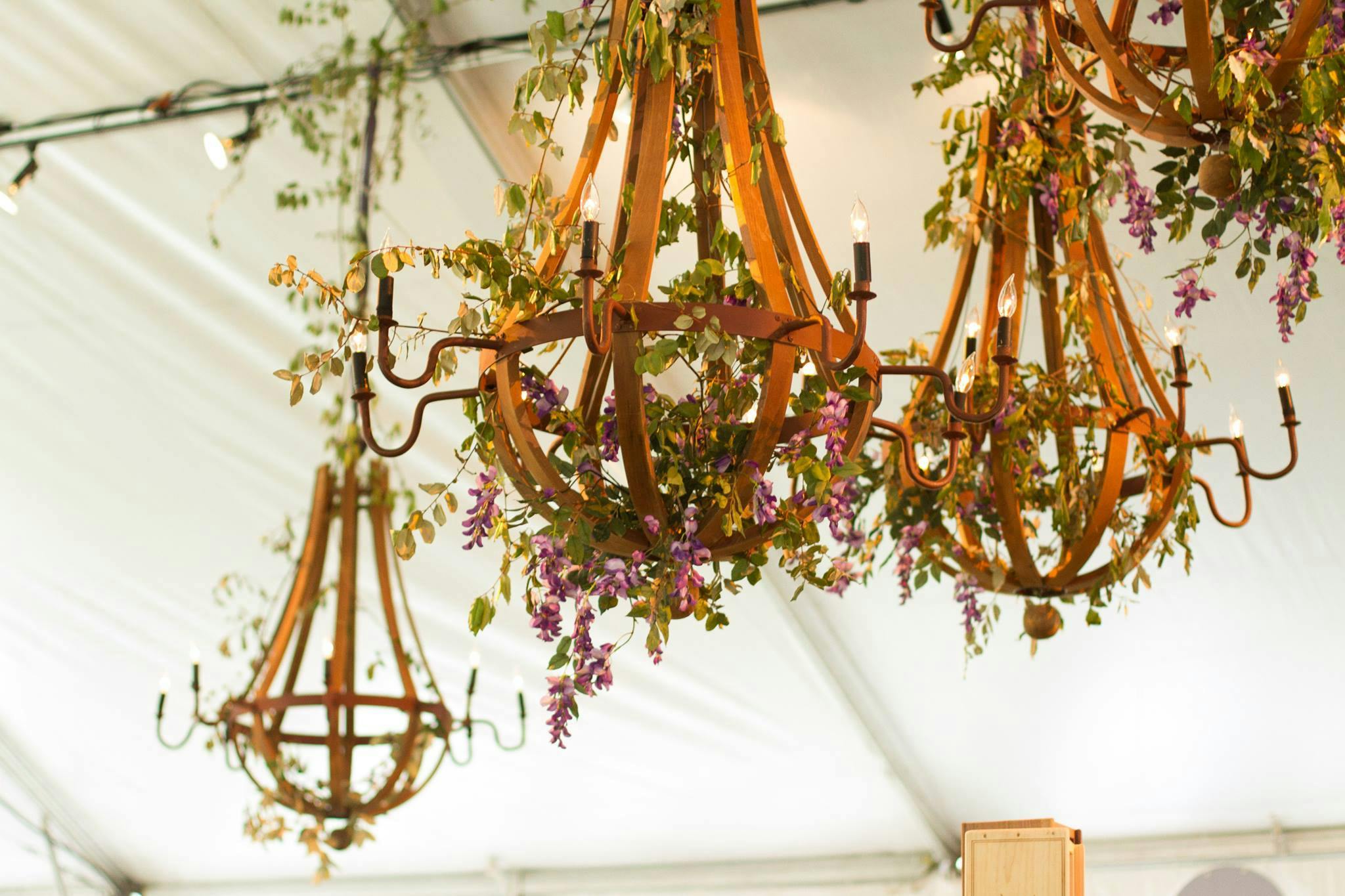 Featured photo from Barbara Roos Events