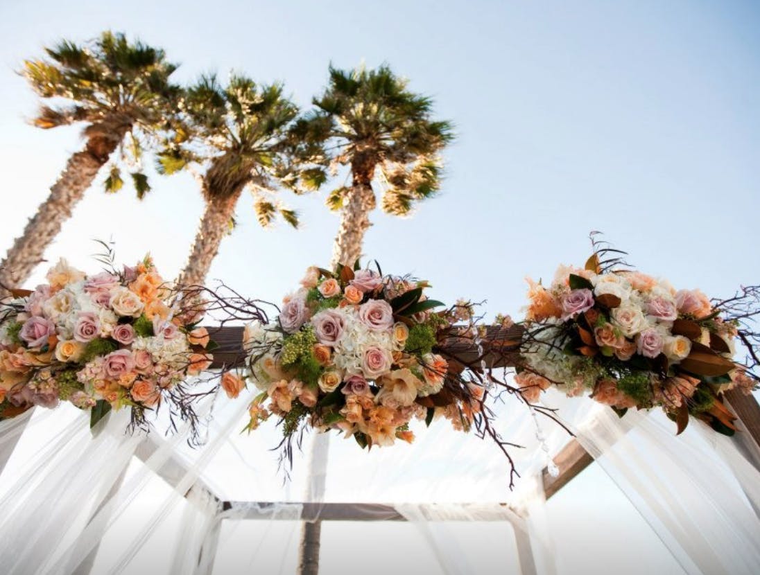 Featured photo from Posies Flowers