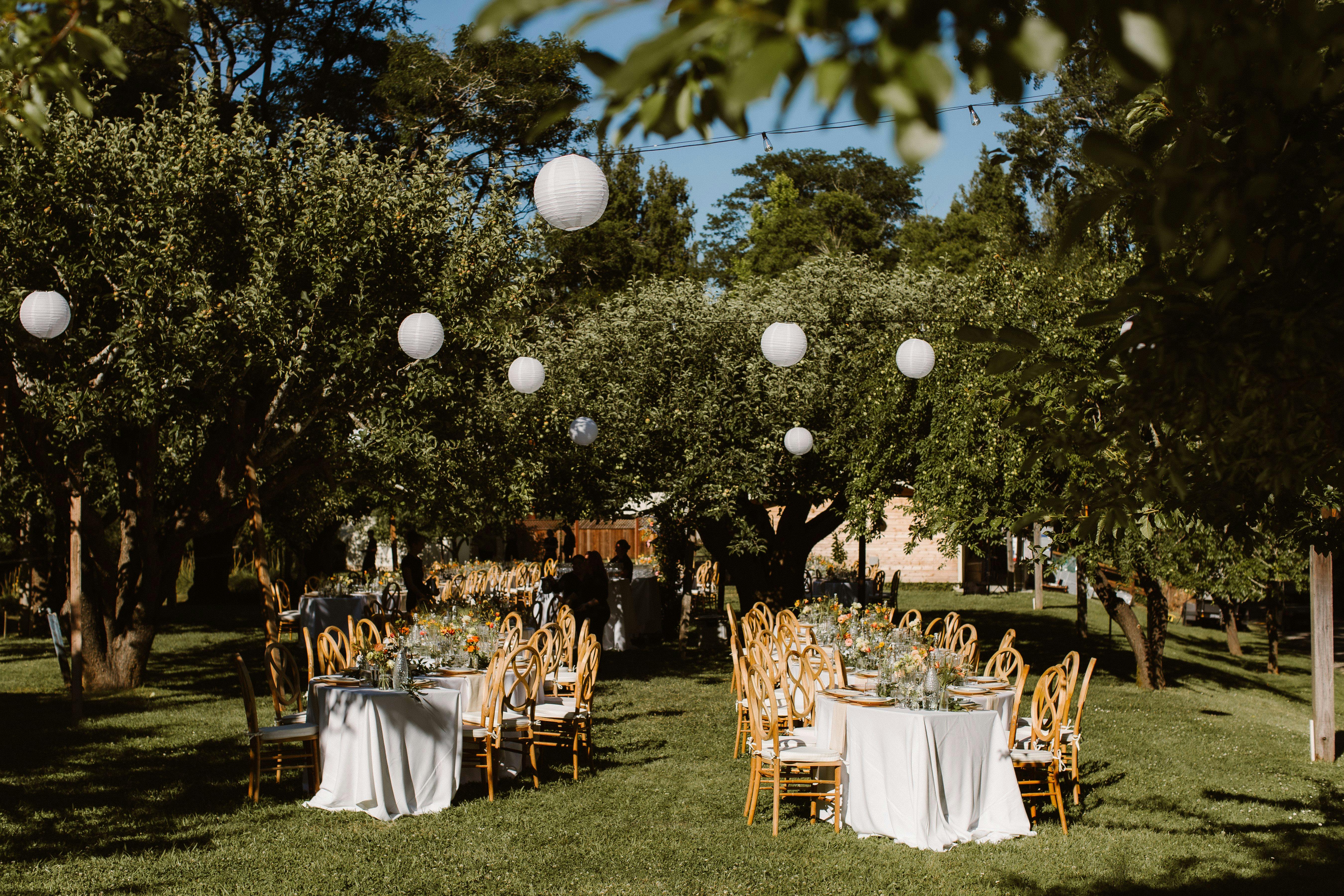 Featured photo from Dawn Ranch